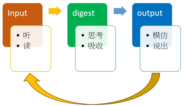 学习流程示意：Input → digest → Output
